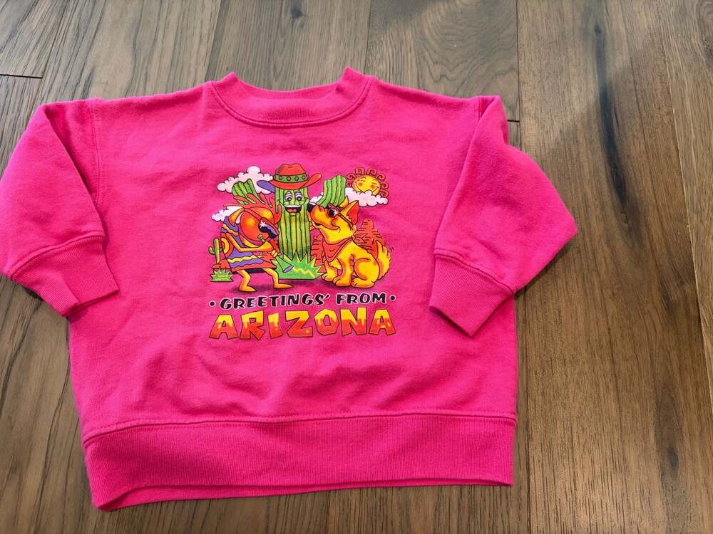 Vintage 2000 Warner Bros. Studio Store Greetings From Arizona Sweatshirt